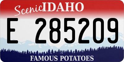 ID license plate E285209