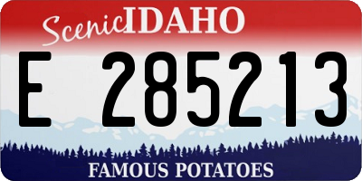 ID license plate E285213