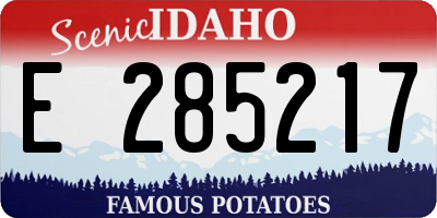 ID license plate E285217