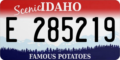 ID license plate E285219