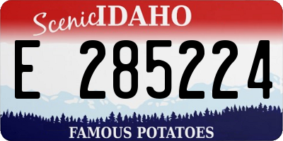 ID license plate E285224