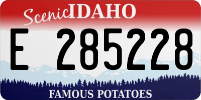 ID license plate E285228