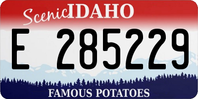 ID license plate E285229