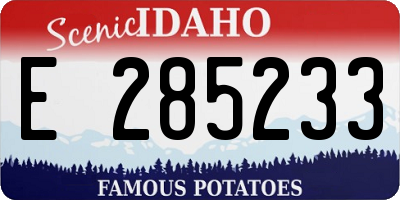 ID license plate E285233