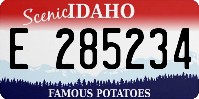 ID license plate E285234
