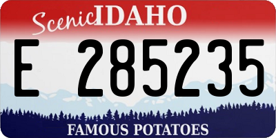ID license plate E285235