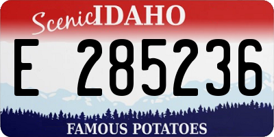 ID license plate E285236