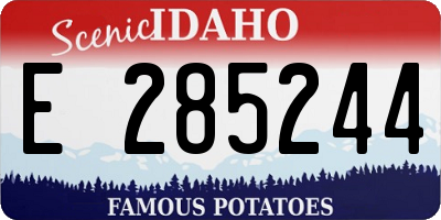 ID license plate E285244