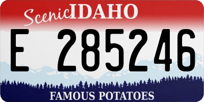 ID license plate E285246