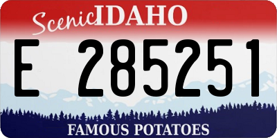 ID license plate E285251