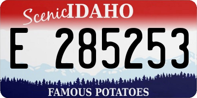 ID license plate E285253