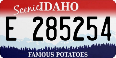 ID license plate E285254