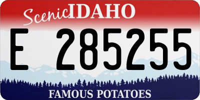 ID license plate E285255