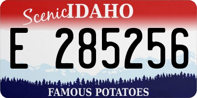 ID license plate E285256