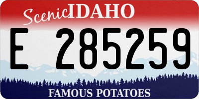 ID license plate E285259
