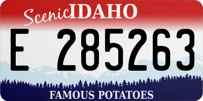 ID license plate E285263