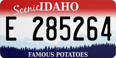 ID license plate E285264