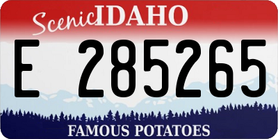 ID license plate E285265