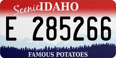 ID license plate E285266
