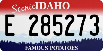 ID license plate E285273