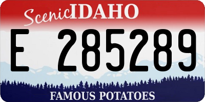 ID license plate E285289