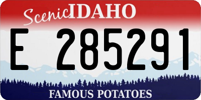 ID license plate E285291