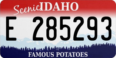 ID license plate E285293