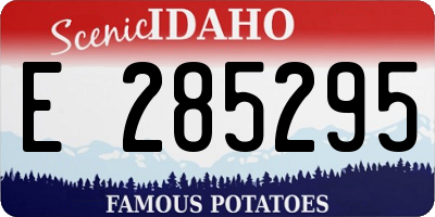 ID license plate E285295