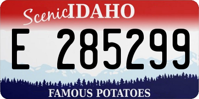 ID license plate E285299