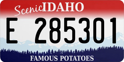 ID license plate E285301