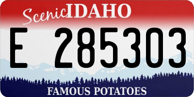 ID license plate E285303