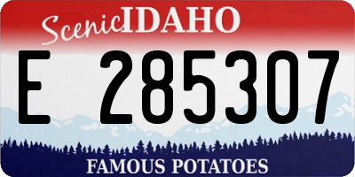 ID license plate E285307