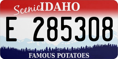 ID license plate E285308