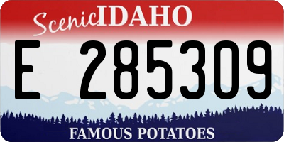ID license plate E285309
