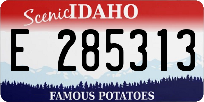 ID license plate E285313