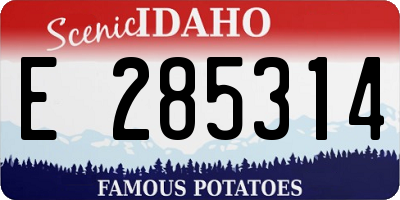 ID license plate E285314