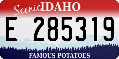 ID license plate E285319