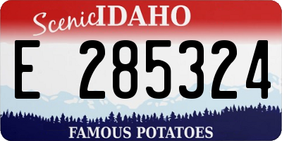 ID license plate E285324