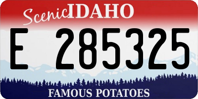 ID license plate E285325