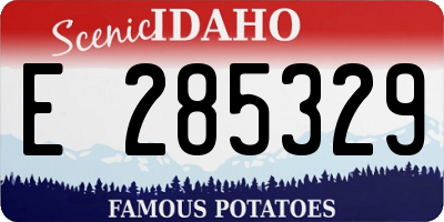 ID license plate E285329