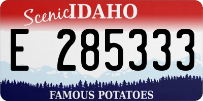 ID license plate E285333