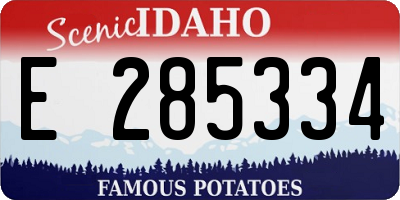 ID license plate E285334