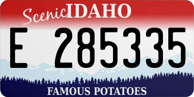 ID license plate E285335