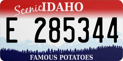 ID license plate E285344