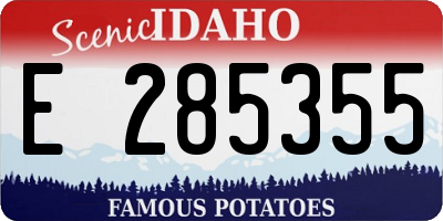 ID license plate E285355