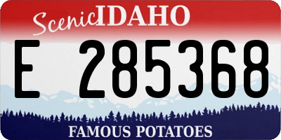 ID license plate E285368