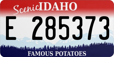 ID license plate E285373