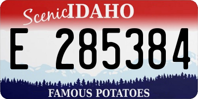 ID license plate E285384
