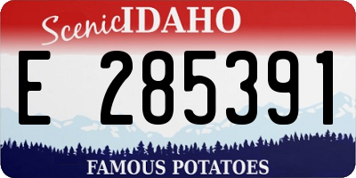 ID license plate E285391
