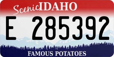 ID license plate E285392